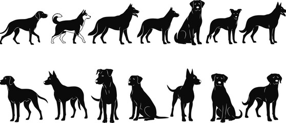 Collection of various dog breed silhouettes featuring german shepherd labrador husky and retriever icons isolated on white background for pet design, © Farzana