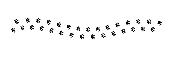 paw print trail © KEN111