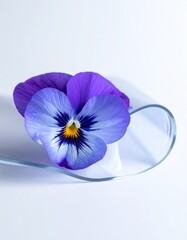 Pansy flower
