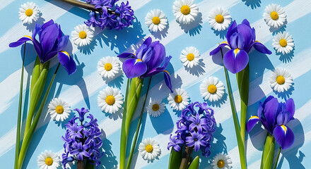 vibrant purple irises blue hyacinths and white daisies artfully arranged on a striped light blue background with prominent shadows for spring projects © Syamil