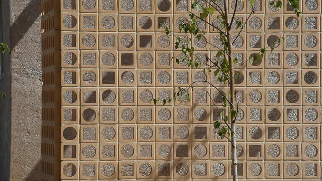 Fondo arquitect&oacute;nico con una celos&iacute;a cer&aacute;mica y un &aacute;rbol. Juego de geometr&iacute;as y sombras