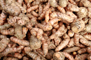 Obraz premium Organic fresh turmeric is now available at the market.