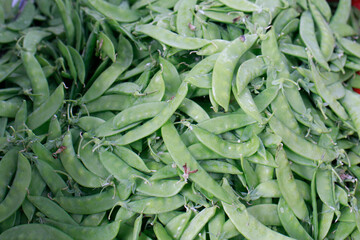 Close-up image of a mung bean.