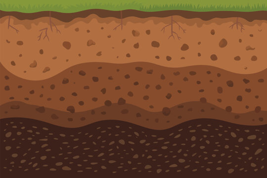 Cross-section of soil layers with grass and roots, illustrating earth's strata