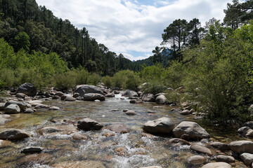CORSE - Massif de Bavella