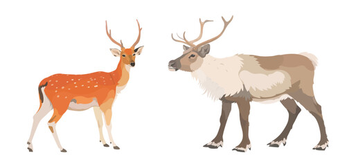 Vector hand drawn illustration set of cartoon reindeer and red elk. Cute wild animals isolated on white background.