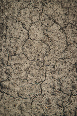 Dry cracked ground background texture Selective focus.