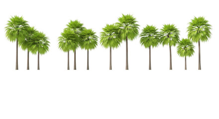 Obraz premium Row of seven green palm trees isolated on transparent background