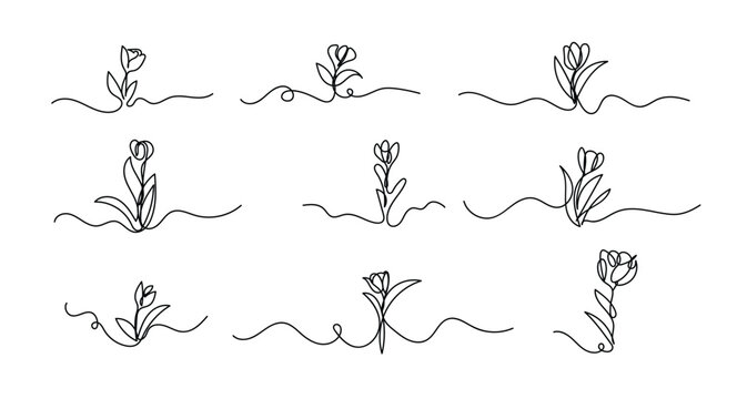Tulip one line drawing set.Abstract flower continuous line. Minimalist contour drawing of tulip. Continuous line drawing of flower tulip.Hand drawn