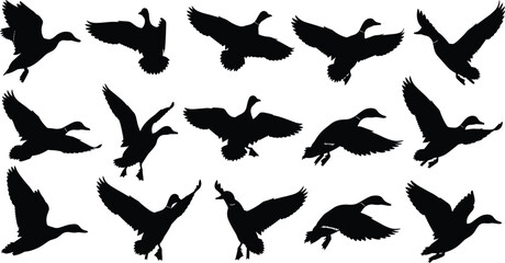 Set of Flying Duck Silhouettes Featuring Mallard Waterfowl and Goose Wings Spread Isolated on White Background for Hunting Season Nature Wildlife Vector Design Elements