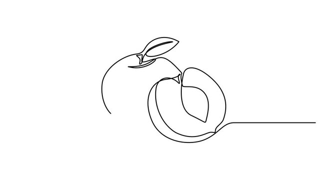 Animated self drawing of continuous line draw of whole healthy organic sweet freshness peach for orchard logo identity. Fresh fruitage concept for fruit garden icon