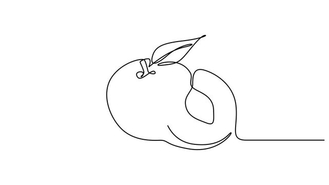 Animated self drawing of continuous line draw of whole healthy organic sweet freshness peach for orchard logo identity. Fresh fruitage concept for fruit garden icon