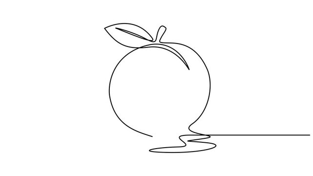 Animated self drawing of continuous line draw of whole healthy organic sweet freshness peach for orchard logo identity. Fresh fruitage concept for fruit garden icon