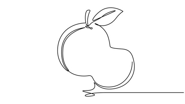 Animated self drawing of continuous line draw of whole healthy organic sweet freshness peach for orchard logo identity. Fresh fruitage concept for fruit garden icon