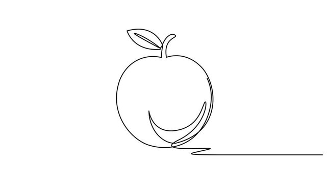 Animated self drawing of continuous line draw of whole healthy organic sweet freshness peach for orchard logo identity. Fresh fruitage concept for fruit garden icon