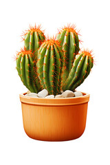 Small cactus plant in terracotta pot, realistic shadows, Isolated to Transparent Background