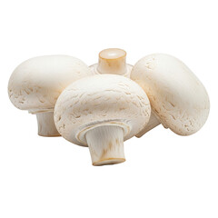 Fresh white button mushrooms isolated on a clean white background.