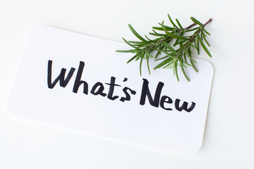 新着情報の手書き文字