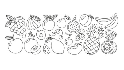 Fototapeta premium A collection of various fruits in a simple line drawing style