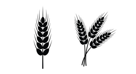 Black wheat stalks and sprigs a simple botanical illustration silhouette © md