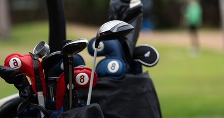 Obraz premium Different types of Golf clubs in a Cart bag, and golfers on the backgorund.