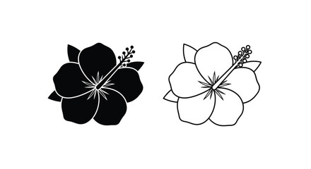 Two hibiscus flowers one dark and one light a striking silhouette © md