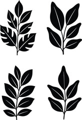 Fototapeta premium Collection of black vector silhouettes of tropical plant branches and leaves for botanical floral decoration.