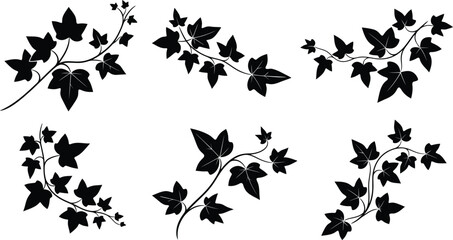 Set of black silhouette vector icons of trailing ivy plant branches for floral border design and botanical nature logo art. © Munna_SH