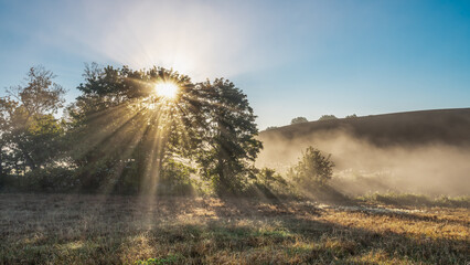 Mglisty, jesienny poranek na Warmii.