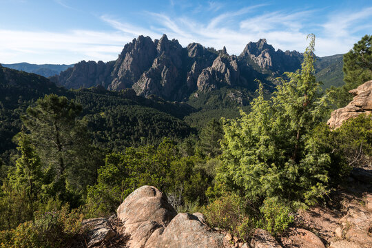 CORSE - Massif de Bavella