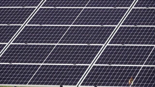 Macro Texture of Polycrystalline Silicon Solar Cell showing Photovoltaic Wafer Grid and Sun Flare Reflection for Clean Energy Technology