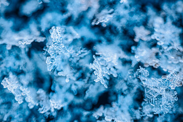 Obraz premium Close-up view of intricate snowflakes on a blue background, showcasing unique crystalline structures and patterns formed by freezing temperatures in winter