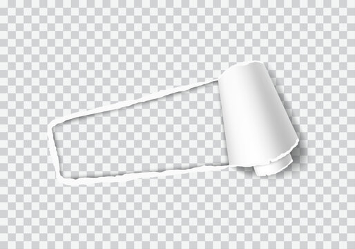 Horizontal torn paper hole with rolled right edge, realistic ripped white paper revealing transparent background.