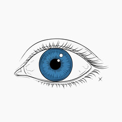A detailed illustration of a blue eye with eyelashes and eyebrow