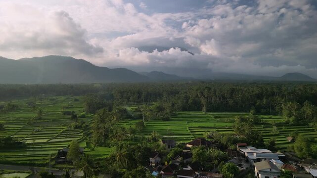 Lush Green Bali Rice Terraces and Majestic Mountains
