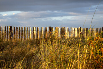 Obraz premium fence in the field