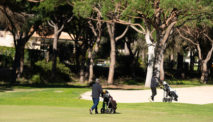  Golfers Playing on Sunny Green Course with Lush Trees