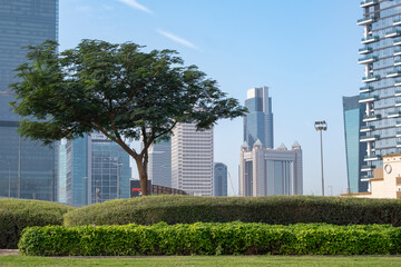 Obraz premium A view of Dubai's skyscrapers from a park area, a beautiful green lawn with trees, and high-rise buildings. The city's modern urbanism features parks, lawns, and trees.