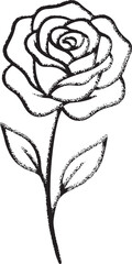 Hand-Drawn Rose Sketch Illustration in Textured Charcoal Style