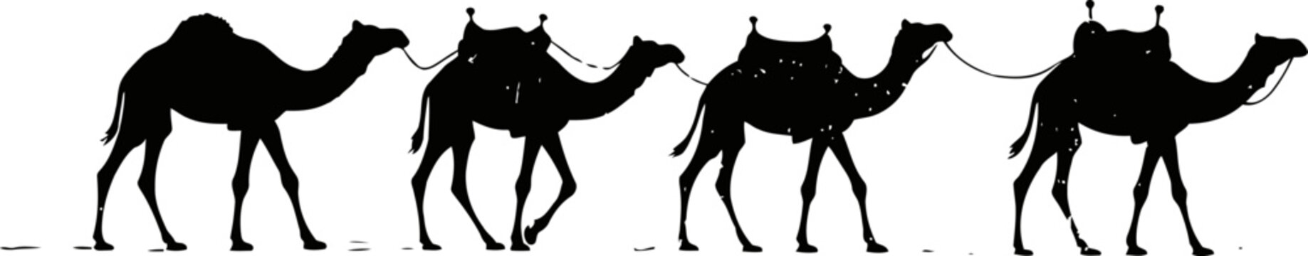 silhouettes of four camels walking in a line, desert caravan movement