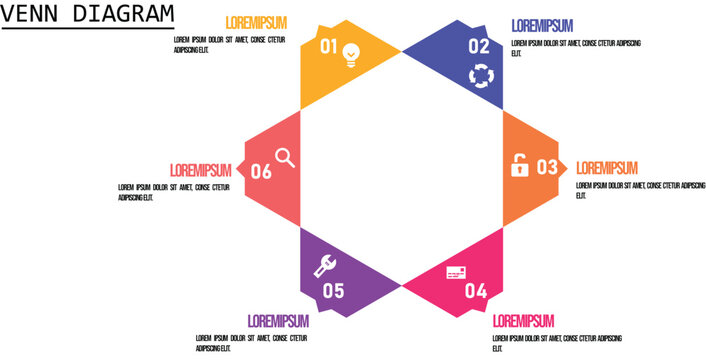 Venn diagram infographic chart vector