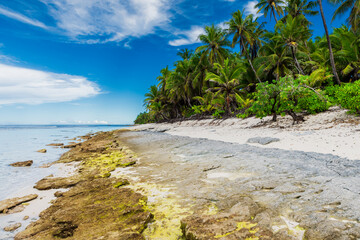 Coconut palm tree beach on Maldives island, best place for chilling.