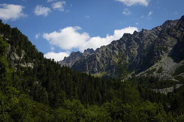 Obraz premium Mountains and trees stand under a clear sky in the alpine landscape with rocky peaks and green forest in the background