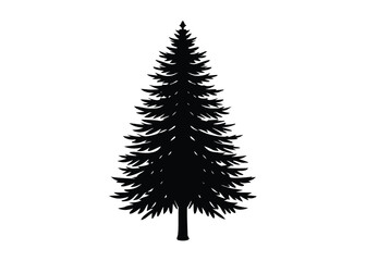 douglas-fir-isolated-on-white-background--close-up.eps