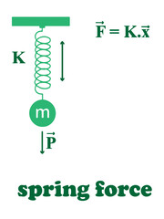 Spring Force Physics Diagram