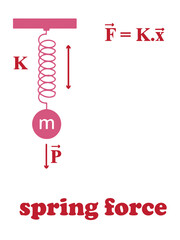 Hooke's Law Spring Force