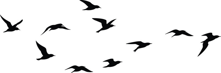 Obraz premium Flying bird silhouettes isolated on white background, minimal wildlife and nature concept showing freedom, migration, motion, and elegant black avian shapes in flight