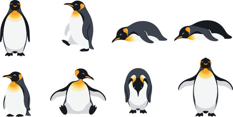 Set of Cute Emperor Penguin Vector Characters in Various Poses Including Standing, Walking, Sleeping, and Sitting for Wildlife Education and Children Graphic Designs
