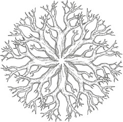 Intricate Branching Pattern