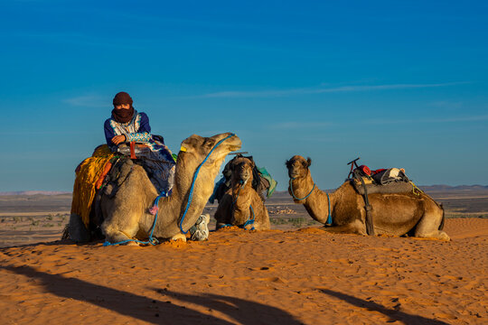 Urlaub in Marokko, in der Sahara, W&uuml;ste Erg Chebbi bei Erfoud: Faszinierende D&uuml;nenlandschaft mit Kamelen, Dromedaren, W&uuml;stenwanderungen, Quads, Sonnenuntergang, Sonnenaufgang